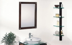 Bathroom Mirror And Shelf Design