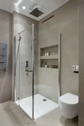 Фото ванных комнат с душевой нишей