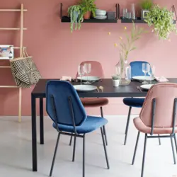 Color of chairs in the kitchen in the interior photo