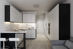 Apartment design 32 sq m with kitchen