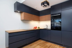 Straight Kitchen Design Photo Without Handles