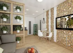 Eco interior kitchen living room
