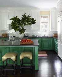 Kitchen interior black white green