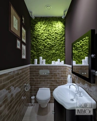 Moss In The Bathroom Interior