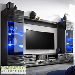 Modern style living room furniture for TV photo