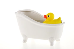 Duck in bath photo