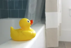 Утка в ванной фото