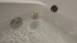 Качка ў ваннай фота