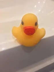 Duck In Bath Photo