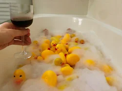 Duckling in the bath photo