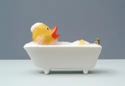 Мурғобӣ дар акси ванна