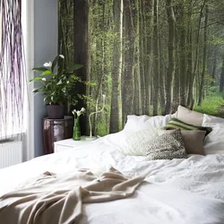 Шпалеры лес у інтэр'еры спальні фота