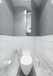 Gray Design Of A Toilet In An Apartment