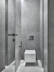 Gray Design Of A Toilet In An Apartment