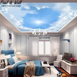 Bedroom With Sky Ceiling Photo