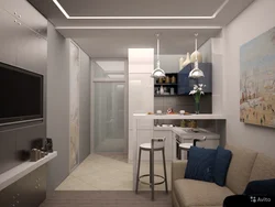 Interior Of A Studio Apartment 18 Sq M With Kitchen