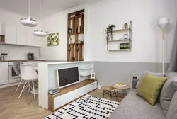 Interior of a studio apartment 18 sq m with kitchen