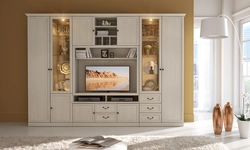 Furniture Shatura Cabinets In The Living Room Photo