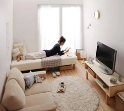 Interior of a room in a one-room apartment with a bed and a sofa photo