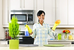 Kitchen cleaning photo