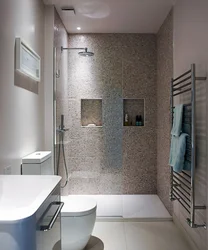 Bathroom Design With Shower And Toilet Panels