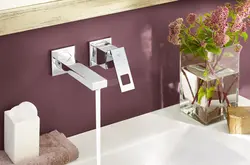 Faucet for bathtub and sink photo in the interior