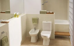 Bathroom Design With Bidet And Toilet