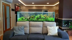 Kitchen Interior Design With Aquarium