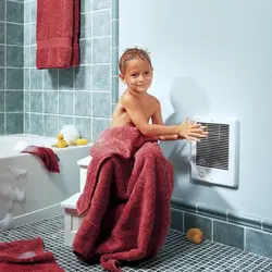 Heater in the bath photo