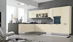 Кухня слановая косць фота матавая