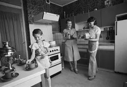 Photo of a kitchen from 1980