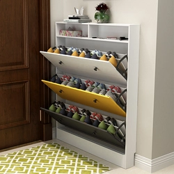 Hallway wardrobe and shoe rack design