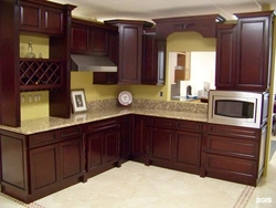 Kitchen interior in mahogany color