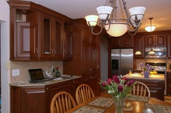Kitchen Interior In Mahogany Color