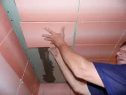 Bathroom ceiling tiles photo