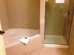 Shower next to the bath photo
