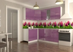 Photos of kitchens in colorlon