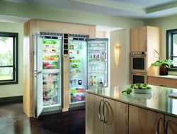 Two Refrigerators In The Kitchen Photo