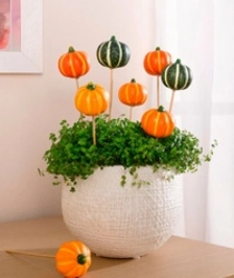 Pumpkin in the kitchen interior