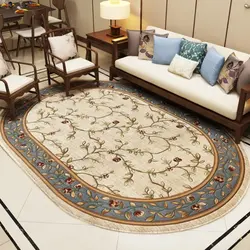 Oval carpet in the living room on the floor photo