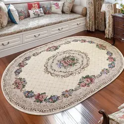 Oval Carpet In The Living Room On The Floor Photo