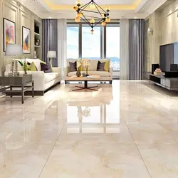 Porcelain tiles in the living room photo in the house