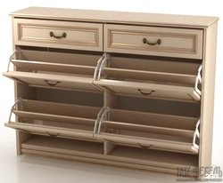 Chest of drawers with shoe rack in the hallway photo