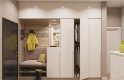 Multifunctional Wardrobe In The Hallway Photo Design