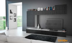 Gray walls for the living room modern photos