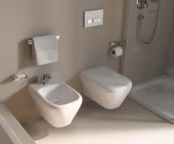 Bathtub With Wall-Hung Toilet Photo