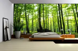Photo wallpaper forest in the bedroom interior