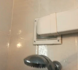 Photo extractor hood toilet bath