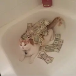 In the bathroom with money photo