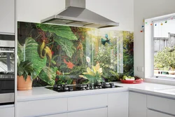 Kitchen with fresco and glass splashback photo